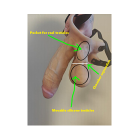 Testicle pocket 